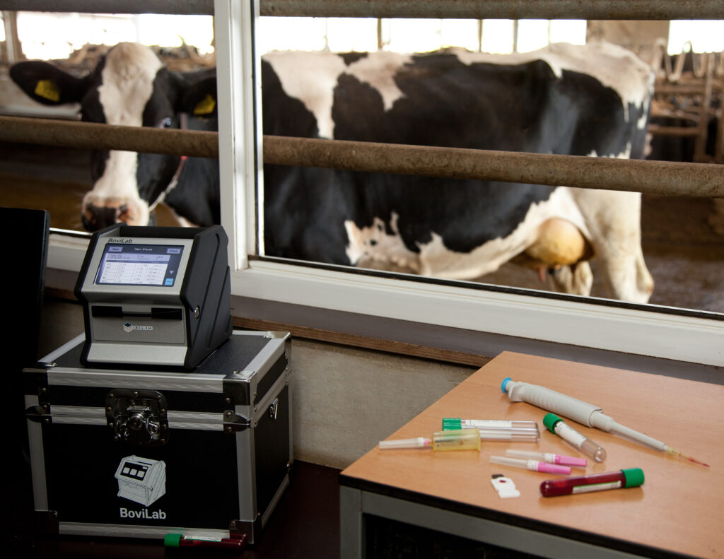 BoviLab FarmLabo blood analysis on a farm with cows in the background and experienced vet working the BoviLab equipment.